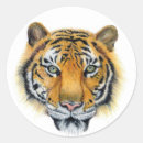 Search for black and white tiger stickers Nature