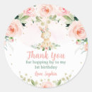 Search for floral bunny stickers First birthday