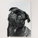 Search for pug puzzles Animal