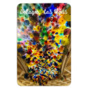 Search for bellagio magnets Travel