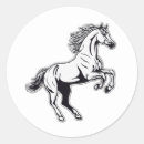 Search for white stallion stickers Equine