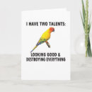 Search for sun conure cards Conures