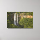 Search for mauritius posters Tropical