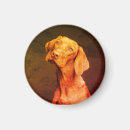 Search for vizsla magnets Hungarian pointer