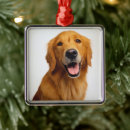 Search for golden retriever christmas tree decorations Puppy