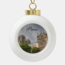 Search for notre dame cathedral christmas tree decorations France