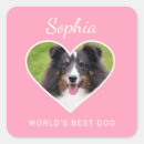 Search for heart shape photo stickers Pink