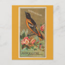 Search for oriole postcards Baltimore