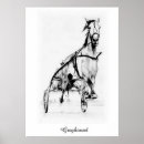 Search for sulkiness posters Harness