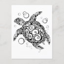 Search for turtles tortoise postcards Reptiles
