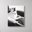 Search for funny dog canvas prints Humourous