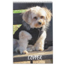 Search for copper photography Cute