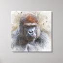 Search for gorilla photography Monkey