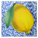 Search for porcelain tiles Blue and white