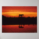 Search for horse silhouette at sunset posters Animal