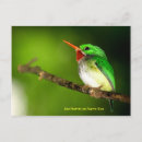 Search for puerto rican postcards Rico