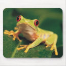 Search for red eye mouse mats Wildlife