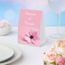 Search for pink cosmo Bride