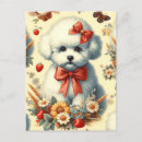 Search for bichons postcards Puppy