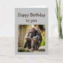 Search for funny gorilla birthday cards Animal