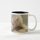 Search for snow monkey mugs Japan