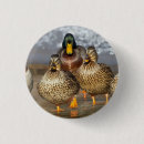 Search for mallards badges Pond