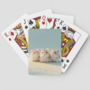 Search for mice playing cards Cute