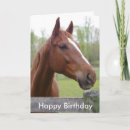 Search for equestrian birthday cards Funny