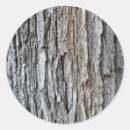 Search for tree bark stickers Texture