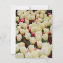 Search for gentleness postcards Flowers