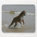 Search for boxer dog mouse mats Canine photographer