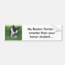 Search for boston terrier bumper stickers Dog