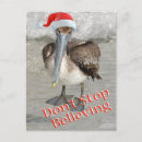 Search for pelican christmas cards Funny