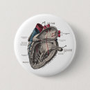 Search for anatomy badges Red