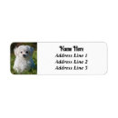 Search for maltese dog return address labels Animal
