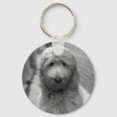 Search for backyard key rings Cute