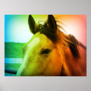 Search for buckskin posters Equine