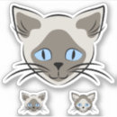 Search for cute cat graphic stickers Kitty