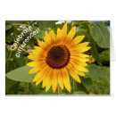 Search for difference cards Floral