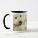 Search for miniature poodle mugs Close up