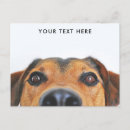 Search for peek a postcards Cute