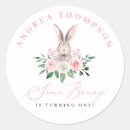 Search for bunny girl stickers First birthday