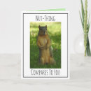 Search for funny squirrel valentines day cards Joke