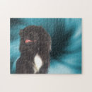 Search for pekingese puzzles Animal