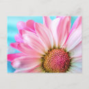 Search for big flower postcards Flora
