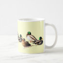 Search for mallard duck mugs Mallards