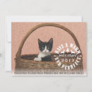 Search for purrfect christmas cards Pet