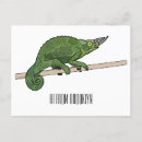 Search for chameleon postcards Reptile