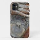 Search for orangutan iphone cases Ape