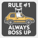 Search for rule square stickers Cat
